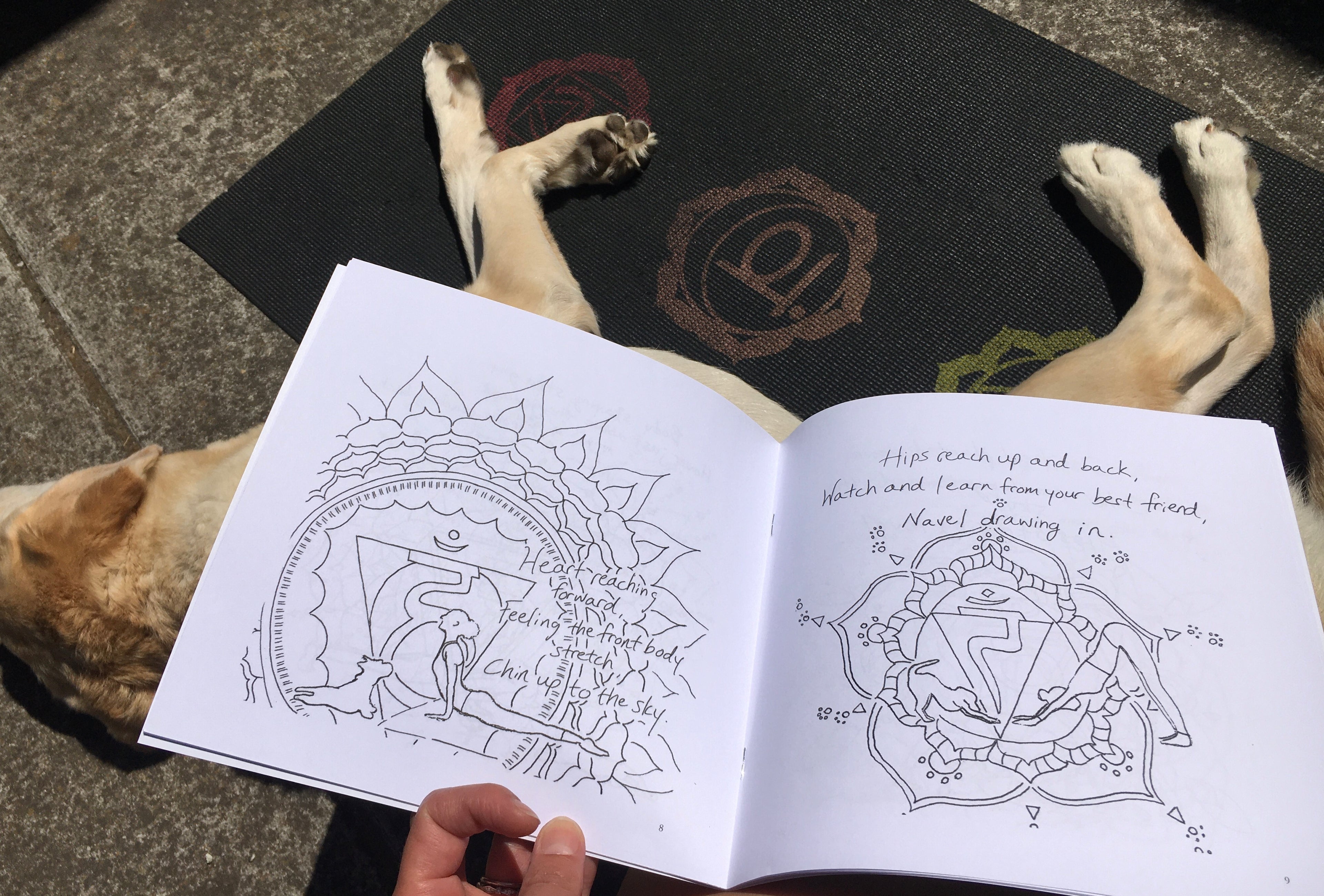 Haikus for Doga: A Mindful Coloring Book